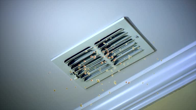 Best HVAC Duct Inspection Services  in Maeser, UT