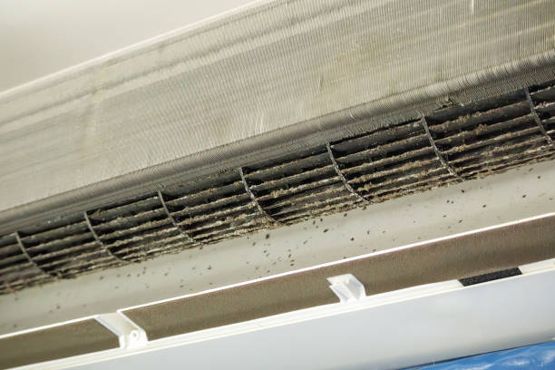 Best Affordable HVAC Duct Cleaning  in Maeser, UT